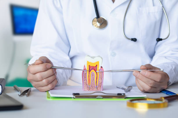 Best Walk-In Emergency Dental Services in Salt Creek Commons, IN